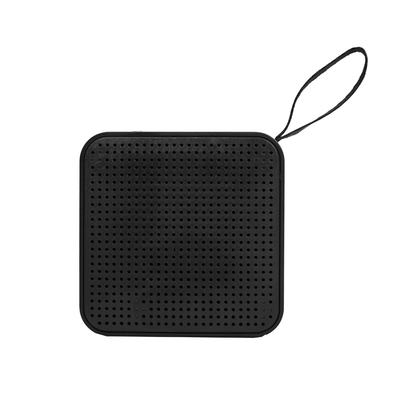 Parlante Play - Image 8