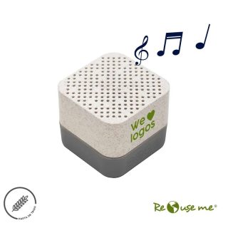 Parlante Wireless Earth